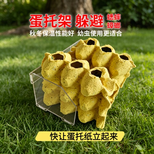 蛋托架躲避虫窝亚克力保暖通风立放排粪沙蟋蟀杜比亚樱桃蟑螂通用