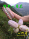 母婴生态八月瓜八月炸5斤新鲜水果三叶木通果野香蕉当季 现摘现发