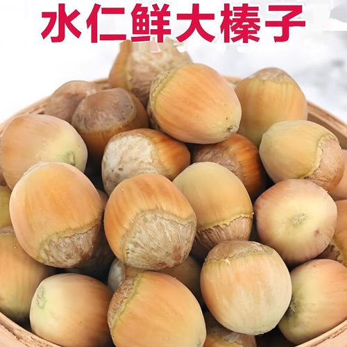 25年新货辽宁青皮水大榛子