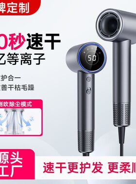 跨境负离子吹风机发廊家用电吹风大功率民宿吹风机卫生间电吹风