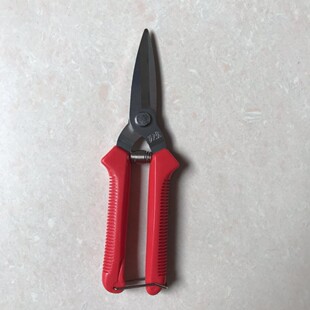 编藤剪刀葡萄修枝剪园艺采果芽剪刀修花柑橘子摘果稀果剪水果蔬果