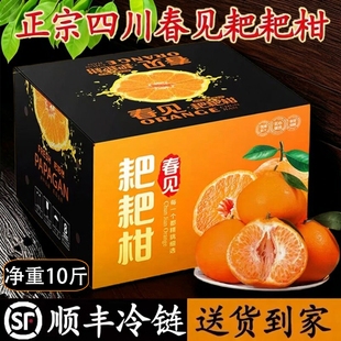 顺丰四川春见耙耙柑正宗粑粑柑当季 新鲜水果杷杷橘甜净重10斤