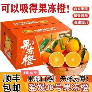 正宗四川红美人爱媛38号果冻橙手剥橙子新鲜当季 孕妇水果整箱特级