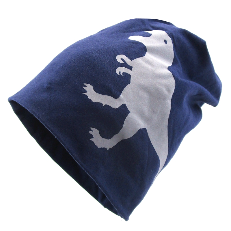 NOABAT春秋款恐龙图案儿童套头帽