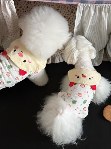 Pppig苹果小熊凉凉衣狗狗衣服夏天薄款宠物用品小型犬马尔济泰迪