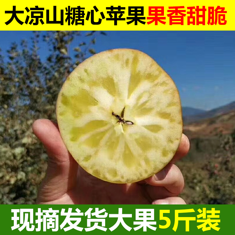 假一赔十大凉山盐源糖心丑苹5斤大果包邮新鲜水果苹果现摘苹果糖心苹果