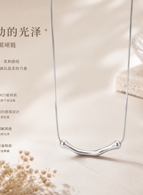 祈鹿S925银不规则褶皱项链女款轻奢小众高级感锁骨链2026新款爆款