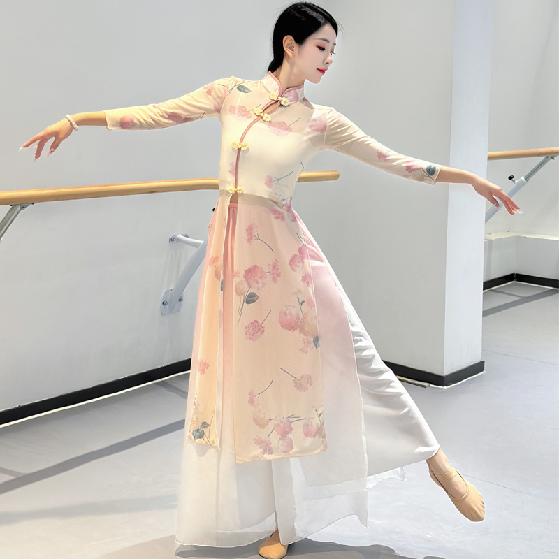 新款古典舞蹈专用旗袍身韵练功服中国舞民族演出服网纱成人上衣女