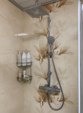 诺贝尔瓷砖WF75406/WF75406X规格350×750磁砖防滑墙砖