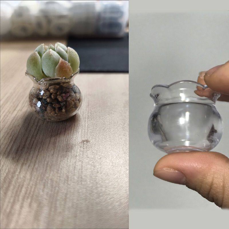 迷你花盆多肉叶插生根盆超可爱鱼缸造型多用途家居摆件网红多肉盆,鲜花速递/花卉仿真/绿植园艺,花盆,淘宝优惠券,粉丝福利购,淘宝优惠卷