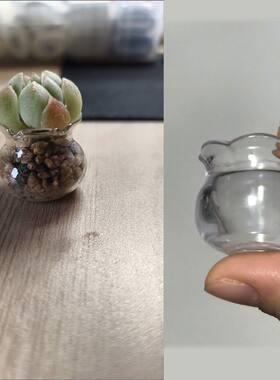 迷你鱼缸造型多肉生根盆