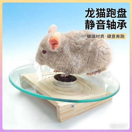龙猫跑盘玻璃静音仓鼠跑轮玩具磨甲转轮28cm直径悬挂异宠造景专用
