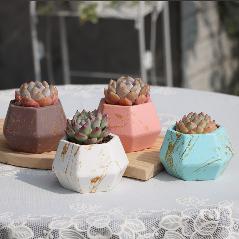 新款创意多肉花盆粗陶透气盆几何造型高级质感室内装饰小型绿植盆