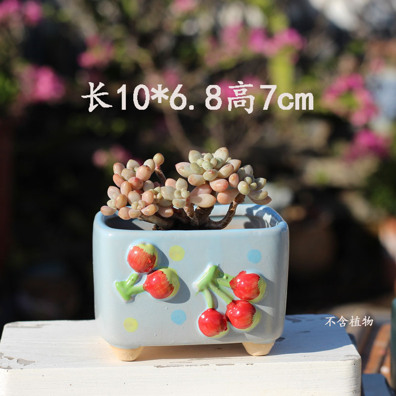 陶瓷多肉花盆创意水果造型简约透气桌面拼盘盆器