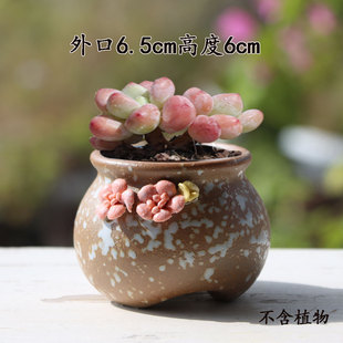陶瓷多肉花盆复古捏花带脚创意个性 肉肉小花盆简约手捏粗陶拇指盆