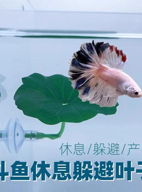 斗鱼栖休息躲避叶产卵荷叶子水草树叶睡觉床鱼缸造景装饰摆件