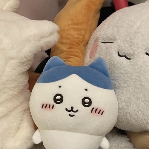 chikawa玩偶小红书娃娃乌萨奇小八吉伊网红ちいかわ女生生日礼物