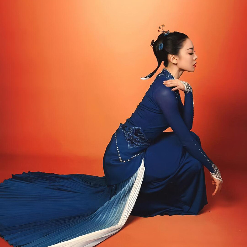 2025春晚同款喜上枝头舞蹈演出服古典服饰舞台服装喜鹊上枝头群舞