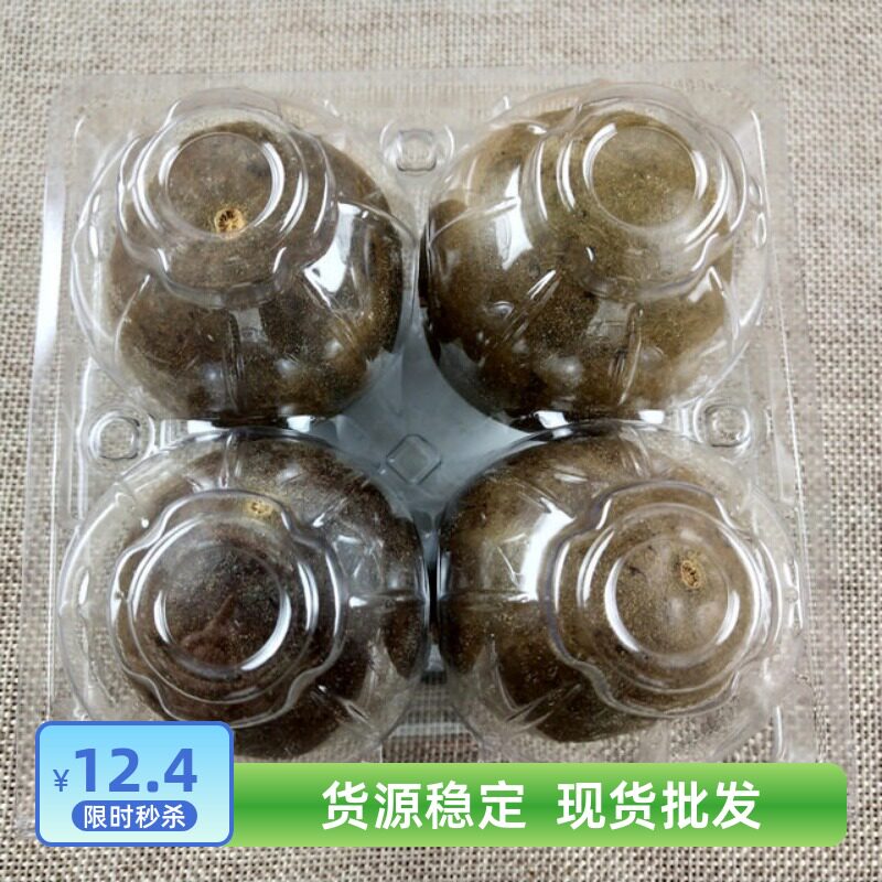 桂林特产罗汉果干果独立盒装特级罗汉果茶对嗓子好的茶搭配胖大海