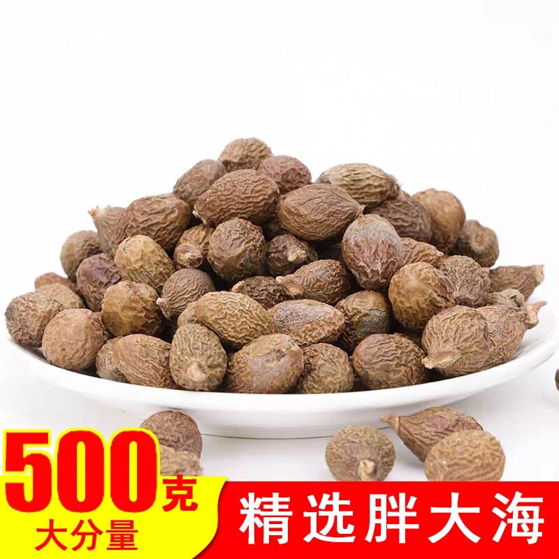 手工挑选胖大海500g包邮特级胖大海润喉茶润嗓去正品散装配罗汉果