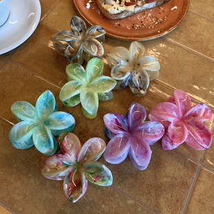 幻彩晕染鸡蛋花抓夹半扎发少女度假风拍照发饰 多巴胺花朵鲨鱼夹
