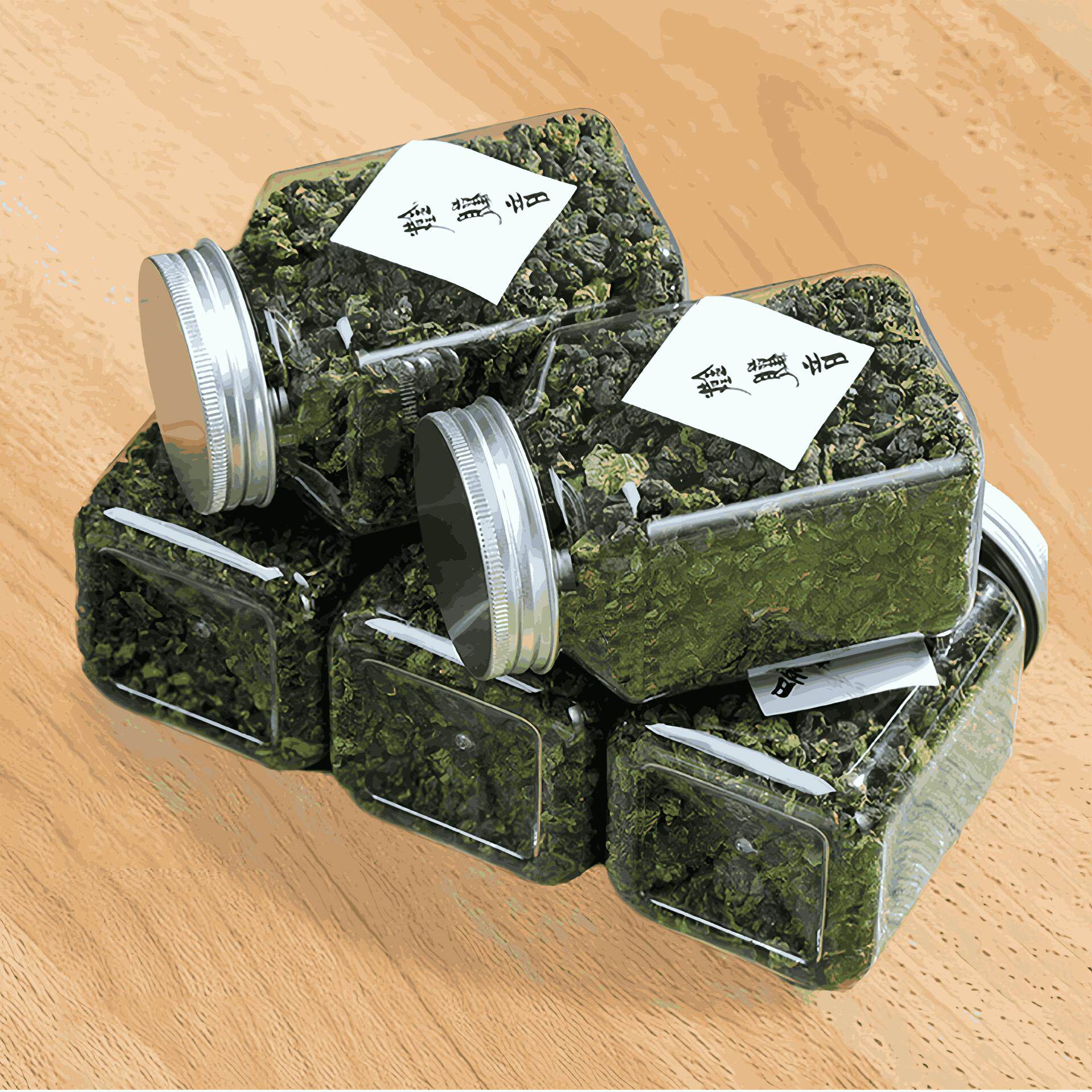 安溪铁观音茶叶浓香型高山乌龙茶新茶散装罐装铁观音厂家批发
