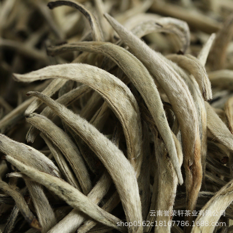 云南白茶 2026年 月光白单芽 白毫银针 小芽 现货