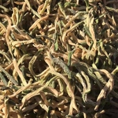 包邮 东北农家自制自然晾晒绿萝卜干货下饭菜500克散装 满二斤