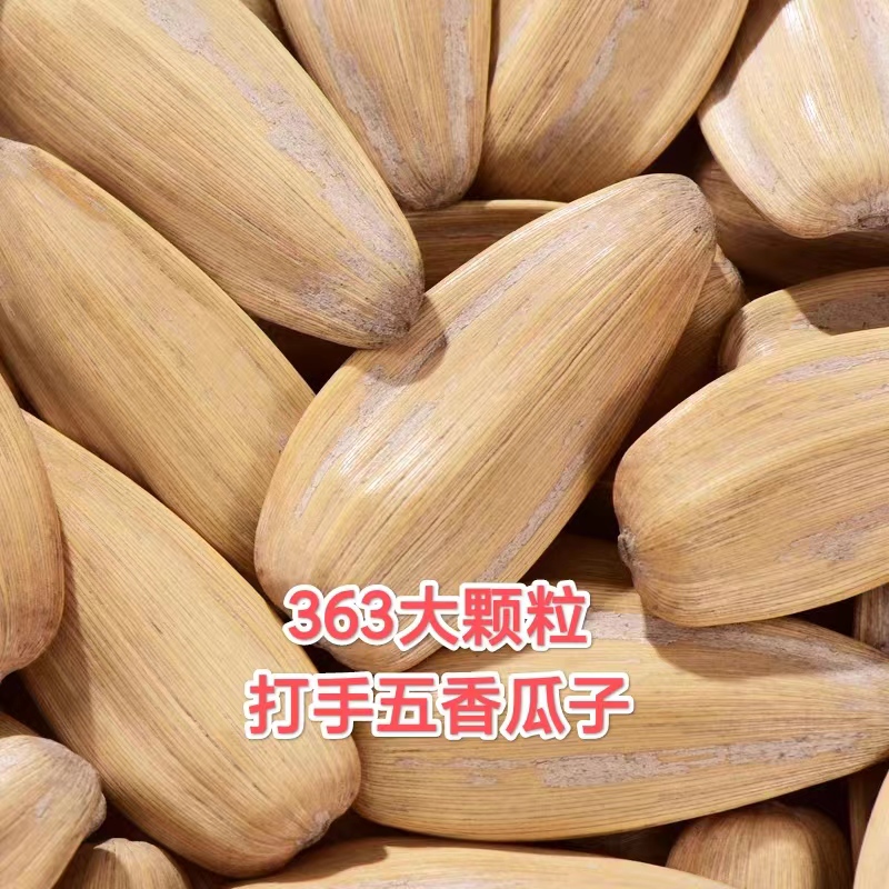 打手瓜子大颗粒 五香味葵瓜子500克*一袋  包邮