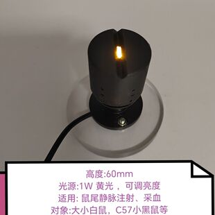 大小鼠尾静脉注射显像灯 鼠尾静脉注射灯 鼠尾静脉神器 鼠固定器