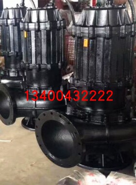 化粪池下水道排水工程提升泵 大流量大口径潜污泵100WQ60-10-4