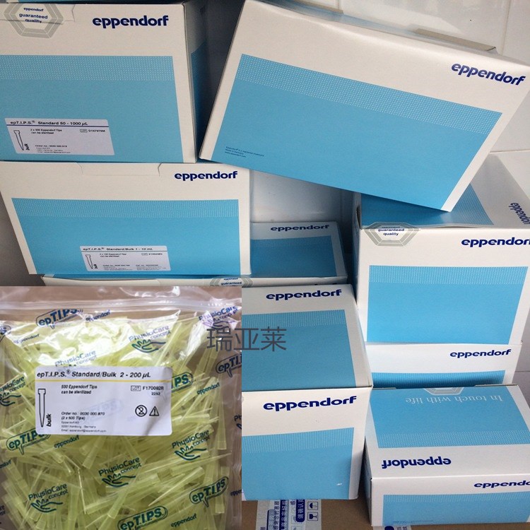 艾本德eppendorf TIPS普通袋装优质级2-200μl 2x500个吸头黄色