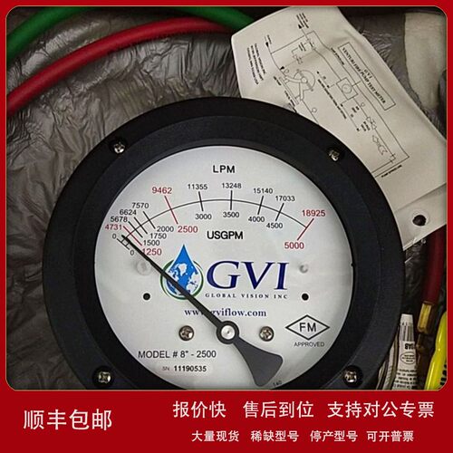 议价优势供应 美国Global Vision inc2-50-G流量计 优惠