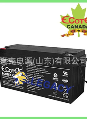 加拿大ECOTCIC蓄电池ECOTEK CANADA蓄电池ECT-2V200直流屏UPS电池