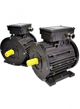 意大利metalrota直流电机交流电机马达泵BL2125AVM 速晨供应