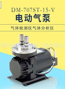 日本进口EMP 泵原装气体检测仪DM-707ST-15-V AC100 220V电动气泵