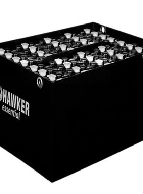 AGVHAWKER蓄电池48V220AH-2PzS220林德P50C电动牵引车电瓶