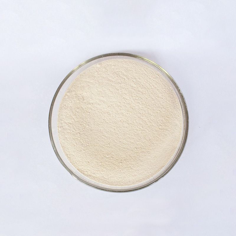 α-淀粉酶 来源于猪胰腺25g 40-60u/mg CAS:9000-90-2