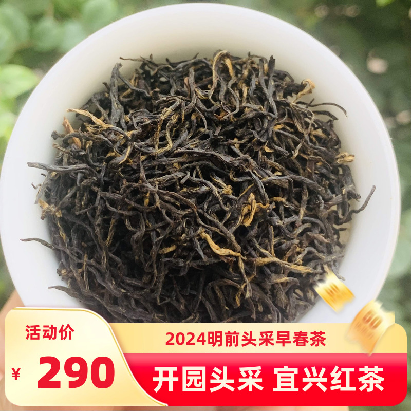 2024新茶上市明前头采苏红宜兴红茶特级阳羡茶叶250g散罐装包邮 茶 特色产区红茶 原图主图