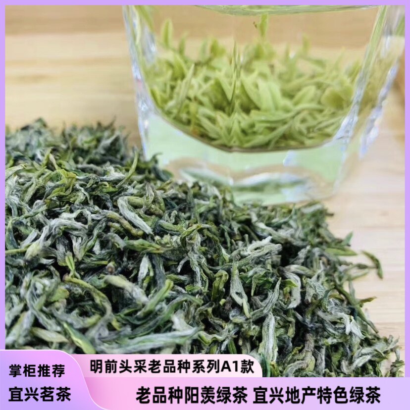 头采2026新茶明前老品种宜兴碧螺春茗茶手炒无锡绿茶125g罐装包邮