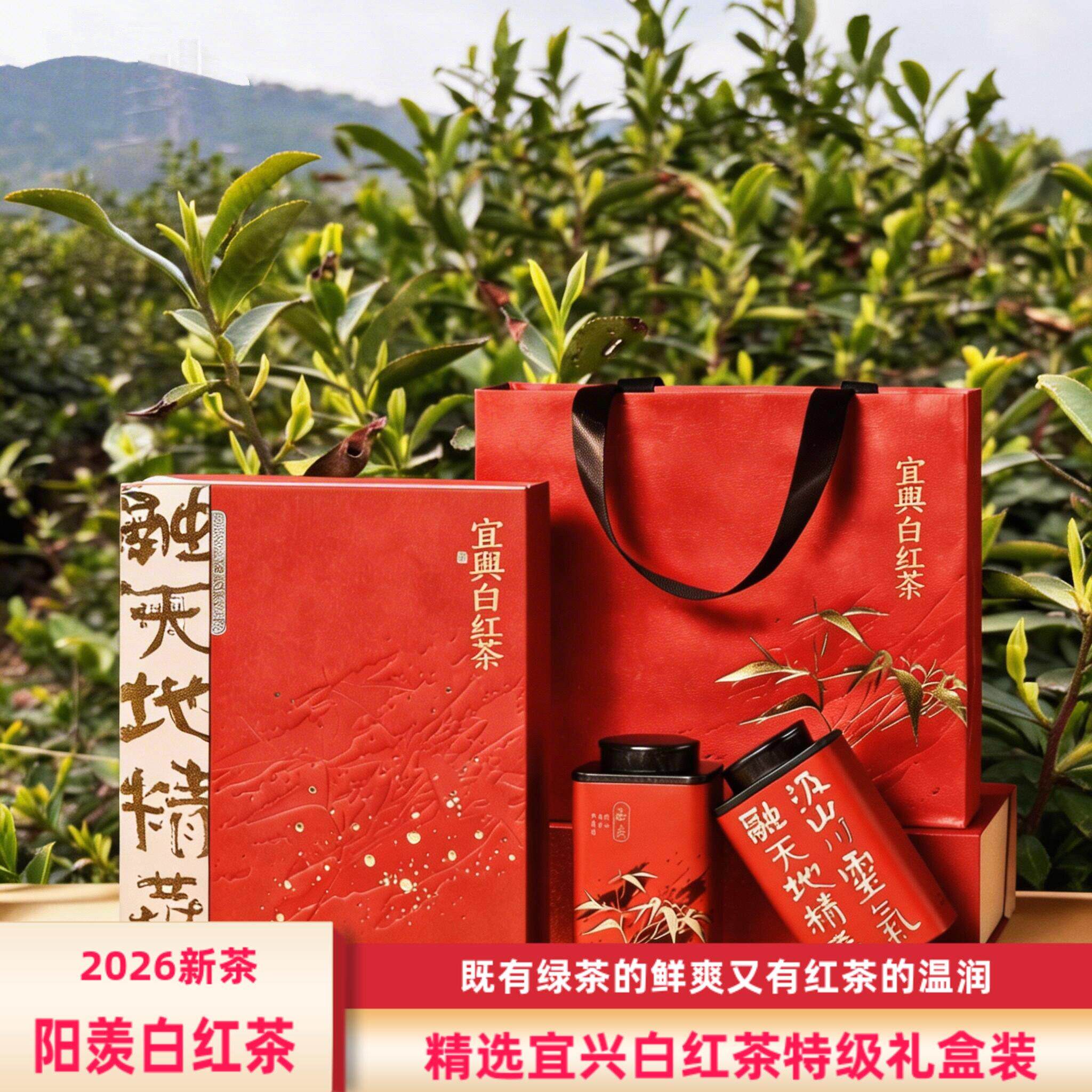 阳羡白红2026新茶春季宜兴白红茶特级礼盒装罐装250g包邮