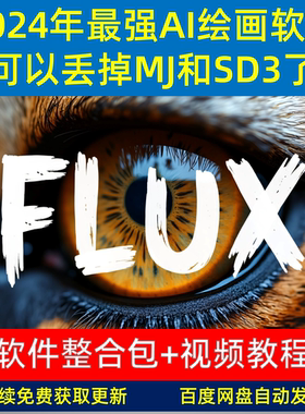 2025年最新最强AI绘画flux模型 本地部署整合包 教程 comfyui