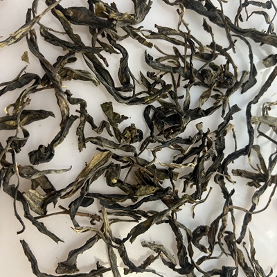 临沧普洱生茶2023年那罕紫茶大单株50克