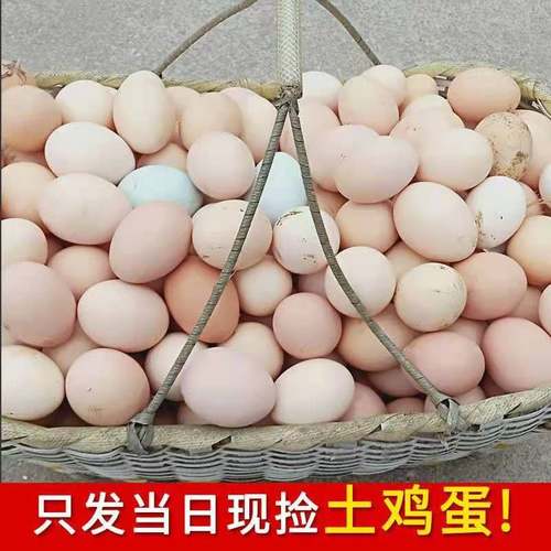 40枚正宗农家散养土鸡蛋包邮