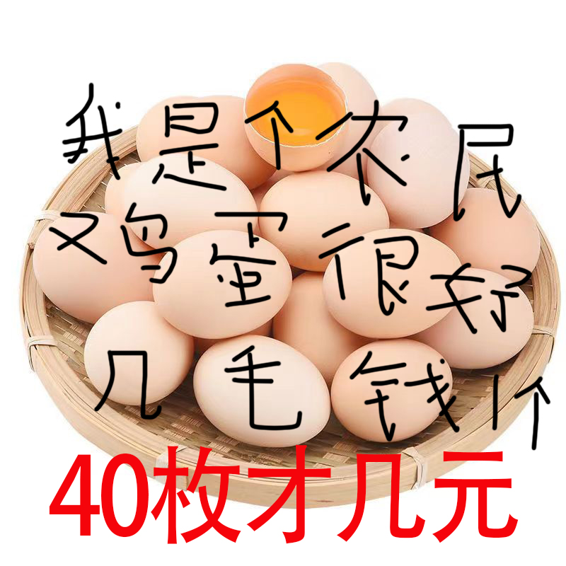 正宗土鸡蛋农家散养新鲜纯农村自养天然40枚草鸡蛋笨鸡蛋 水产肉类/新鲜蔬果/熟食 鸡蛋 原图主图