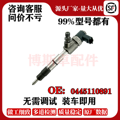 潍柴轻卡0445110891喷油器扬柴锐动力1000000623陕汽K3000