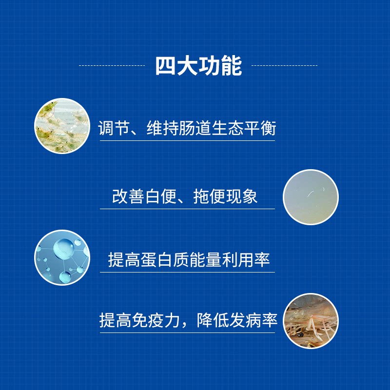 丁酸梭菌 肠道定殖预防肠炎白便维持肠道生态平衡 鱼虾蟹水产养殖