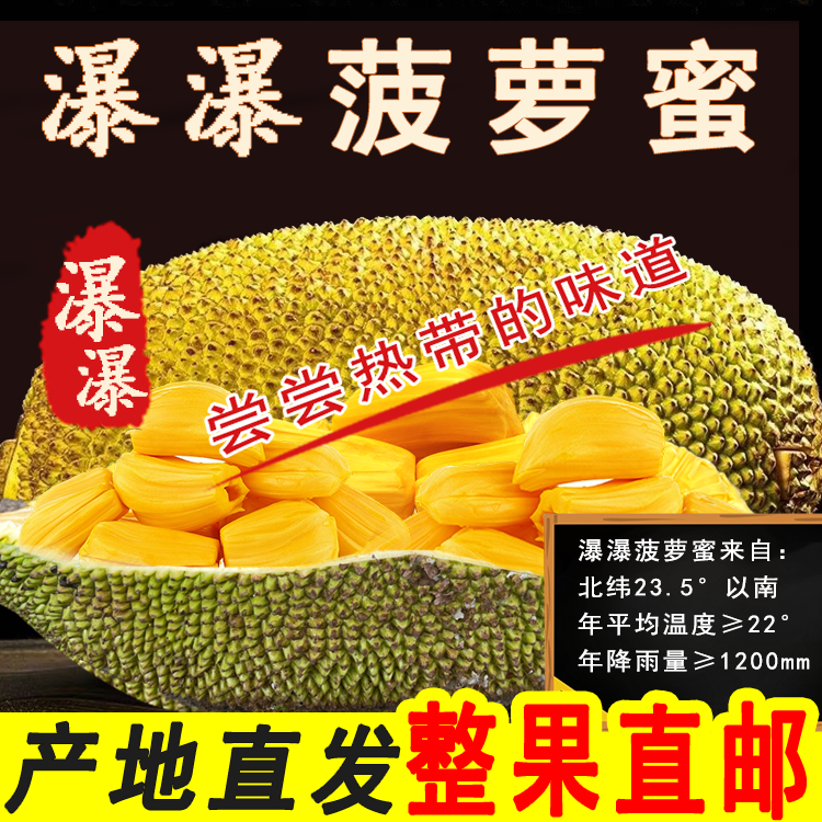瀑瀑菠萝蜜一整个10斤产地直发海南新鲜水果当季热带果王黄肉波罗