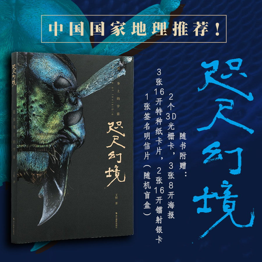 咫尺幻境昆虫身上的宇宙 超微距昆虫主题摄影画册 昆虫摄影科普读物 200张巨幅昆虫摄影 昆虫摄影艺术图鉴