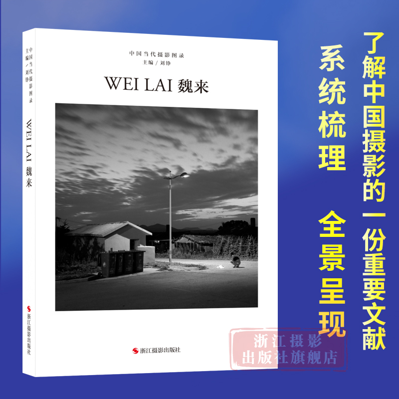 魏来中国当代摄影图录第九辑